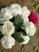 WEDDING ROAD - Image 3