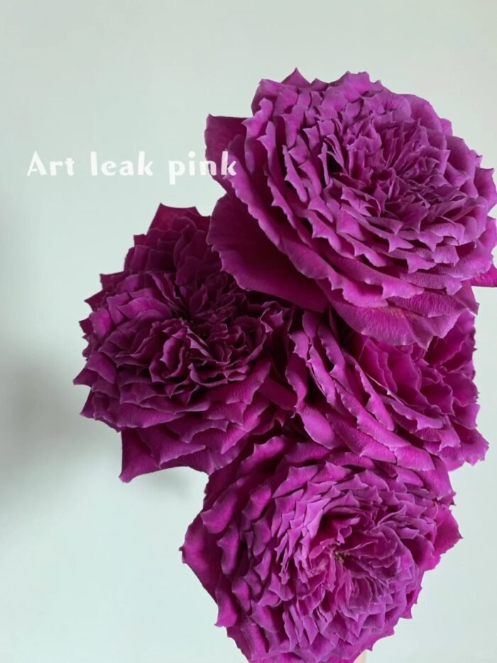 ART LEAK - Image 1