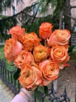 FUNKY PEACH - Image 2