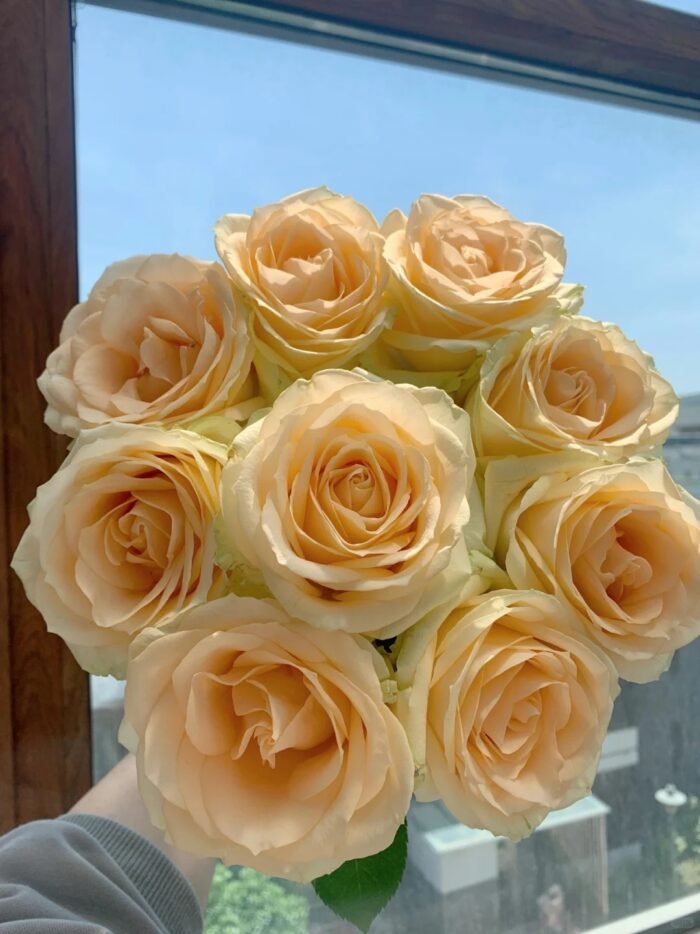 PEACH AVALANCHE - Image 2