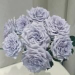 GRAVITY BLUE