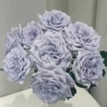 GRAVITY BLUE