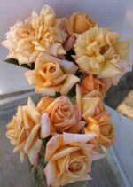 WHISKY SOUR - Image 4