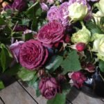 AVATAR(არ იყიდება) - Image 6