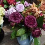 AVATAR(არ იყიდება) - Image 4