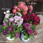 AVATAR(არ იყიდება) - Image 11