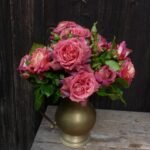 THE JOURNEY( არ იყიდება) - Image 6