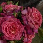 THE JOURNEY( არ იყიდება)