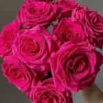 PINK FLOYD - Image 2