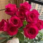 PINK FLOYD - Image 3