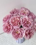 CHOCOLATE ROMANTICA - Image 5