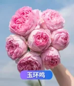 YUHUANMING - Image 3