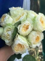 SHADES OF WHITE - Image 2