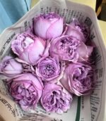 REBIRTH - REPATRIL - Image 2