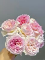 TRÄUMEREI - Image 5