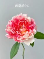 ZEBRA PATIENCE - Image 3