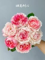 ZEBRA PATIENCE - Image 2