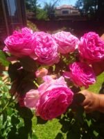 TURNING POINT - Image 5