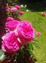 TURNING POINT - Image 6