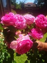 TURNING POINT - Image 4