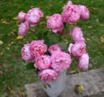 RADIO TIMES - Image 6