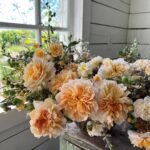 TEA CLIPPER - Image 2