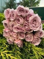 VILLA LAVINIA - Image 4