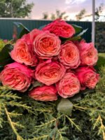 VILLA LIVIA - Image 2