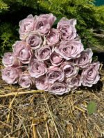 VILLA LAVINIA - Image 3