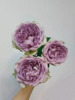 VILLA LILLA - Image 4