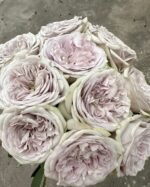 SILVERMINE - Image 6