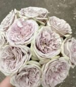 SILVERMINE - Image 4