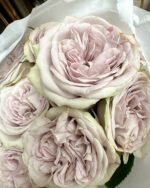 SILVERMINE - Image 5