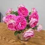 FASHION FORWARD - Image 3