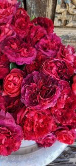 MARSALA GRANDIROSA - Image 9