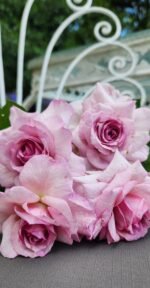 ANTIQUE AFFAIR - Image 6