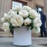 WITS - Image 3
