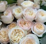 ROYAL ROMANCE
