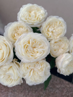 CHIC WHITE - Image 4