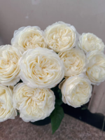 CHIC WHITE - Image 2