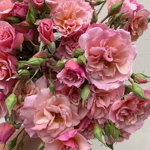 SCENTED WHISPER