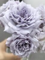 JI SE - Image 2