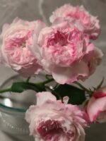 Fragrant Tea